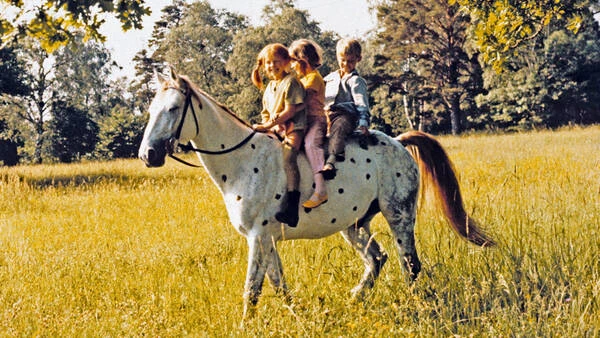 Pippi Treasure and Party