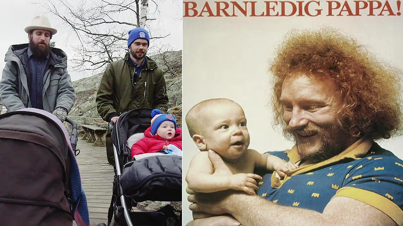 Understanding Sweden’s Social System